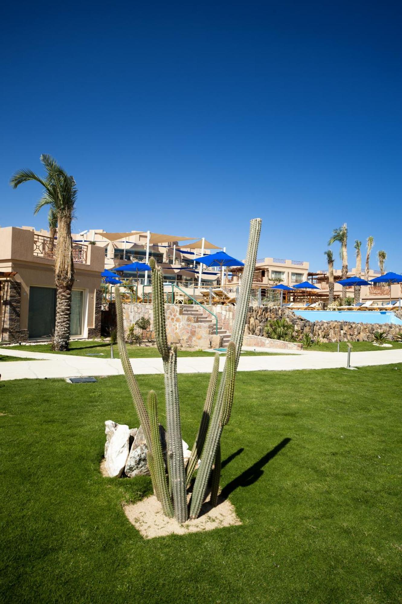 Shams Prestige Abu Soma (Adults Only) Otel Hurgada Dış mekan fotoğraf